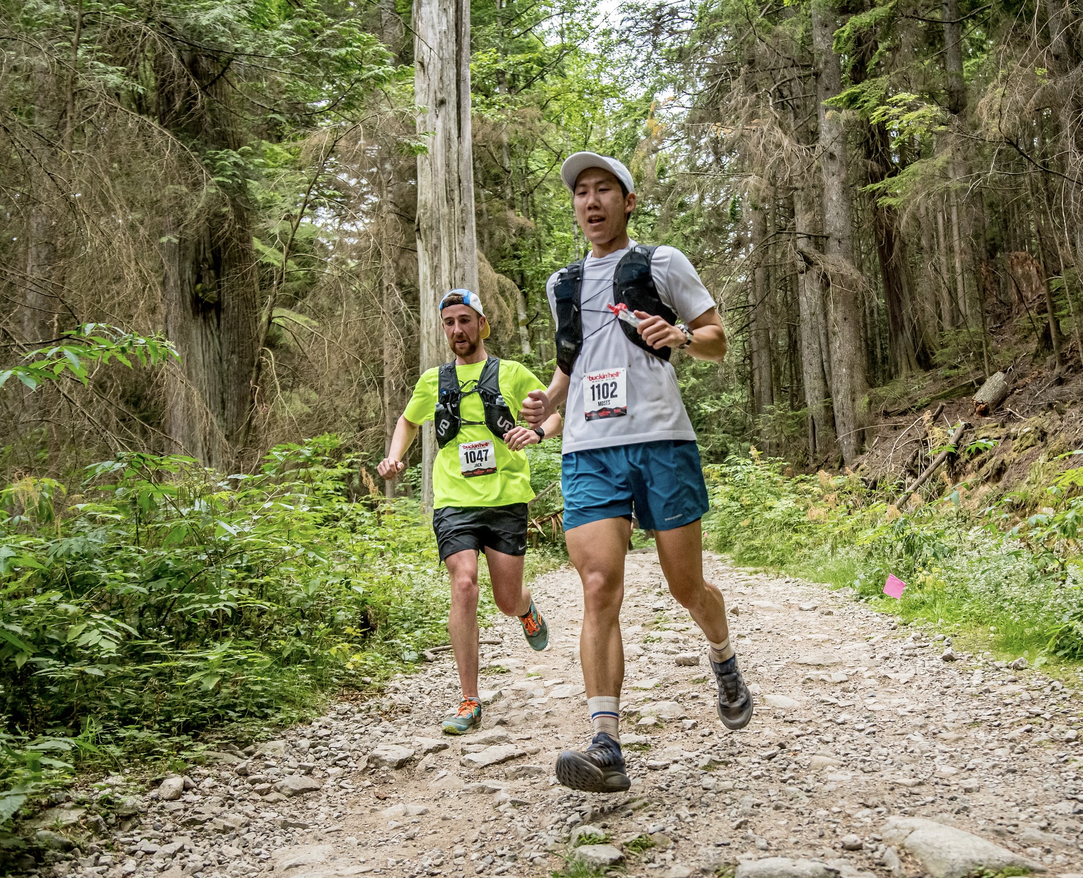 Trail runner on a forest boardwalk near Vancouver