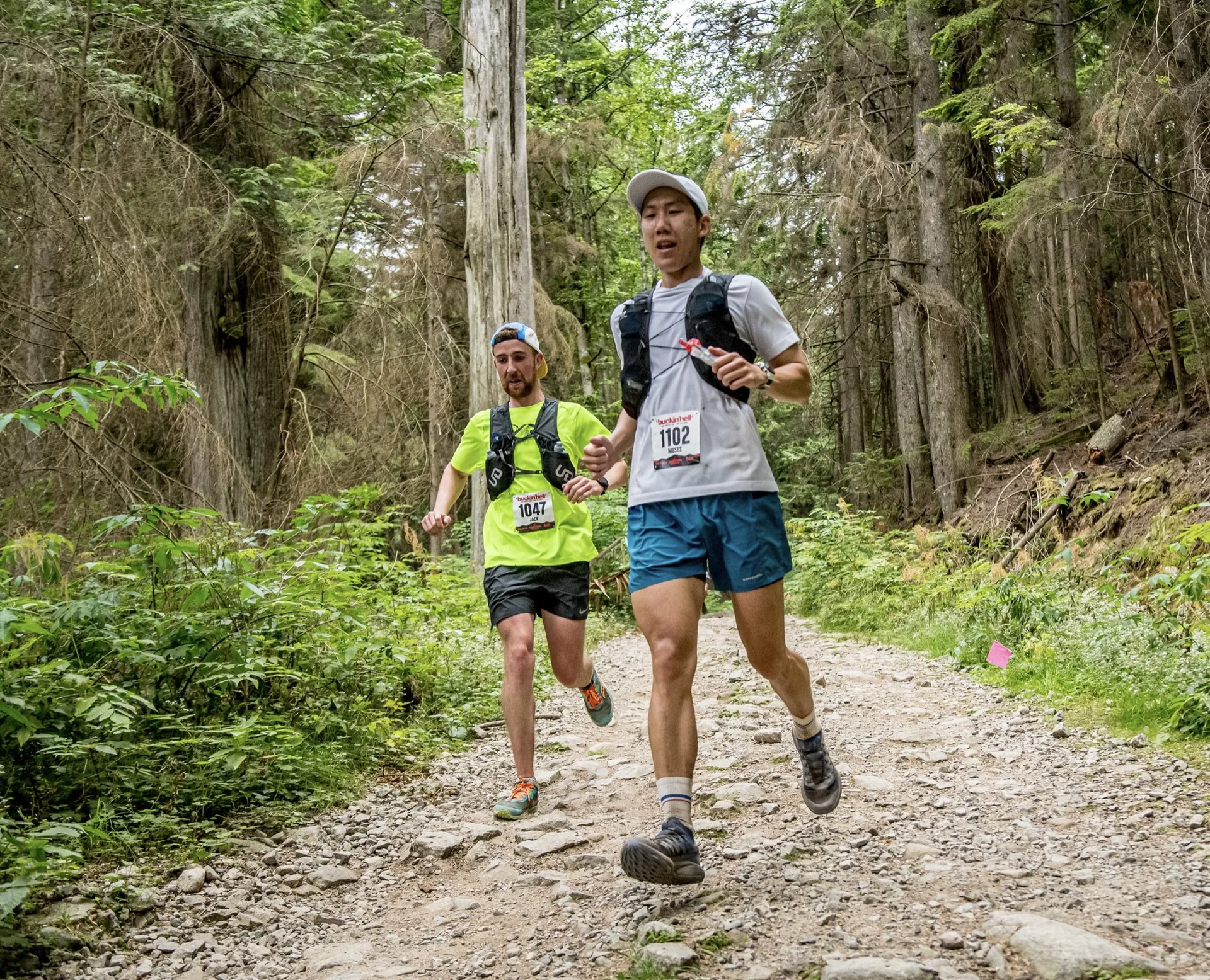 Trail runner on a forest boardwalk near Vancouver